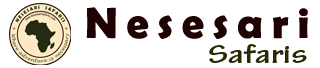 Nesesari Safaris