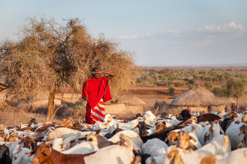 Maasai Village Experience – West Kilimanjaro