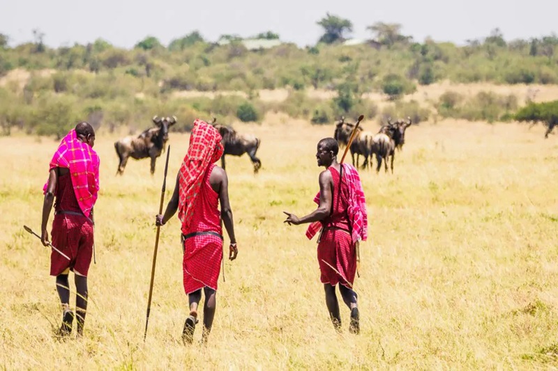 2-Day Safari & Cultural Experience: Lake Manyara & Maasai Village Visit